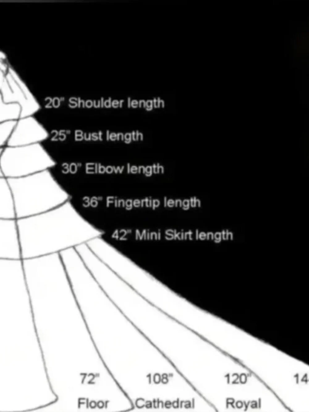 Floral Lace Cathedral Wedding Veil